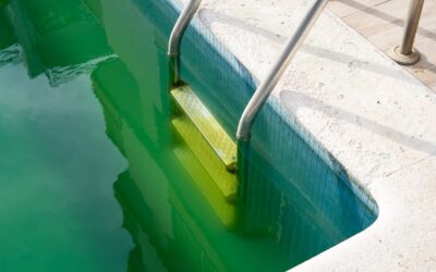 Opening My Pool: Tips for Removing Algae and Cloudiness