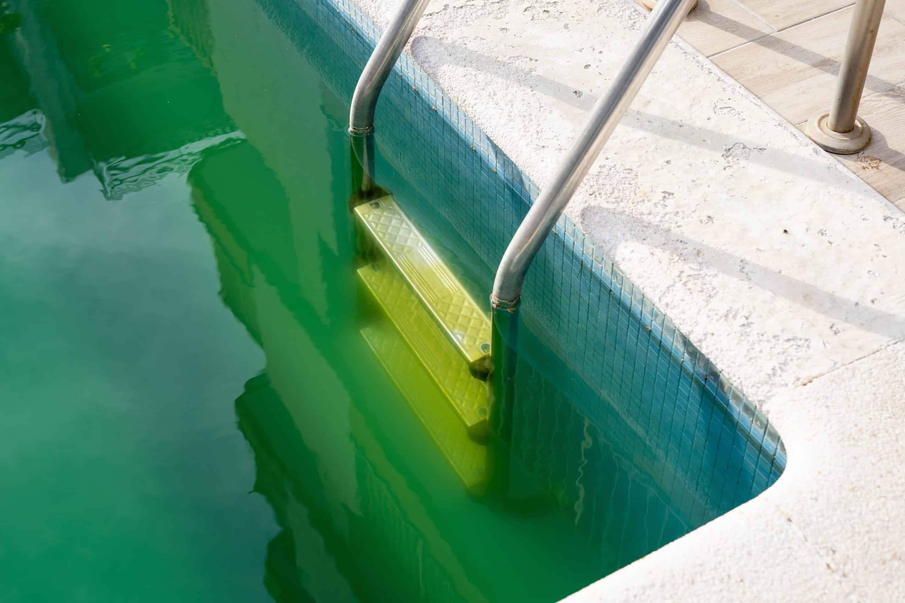 Opening My Pool: Tips for Removing Algae and Cloudiness - Benson Pools