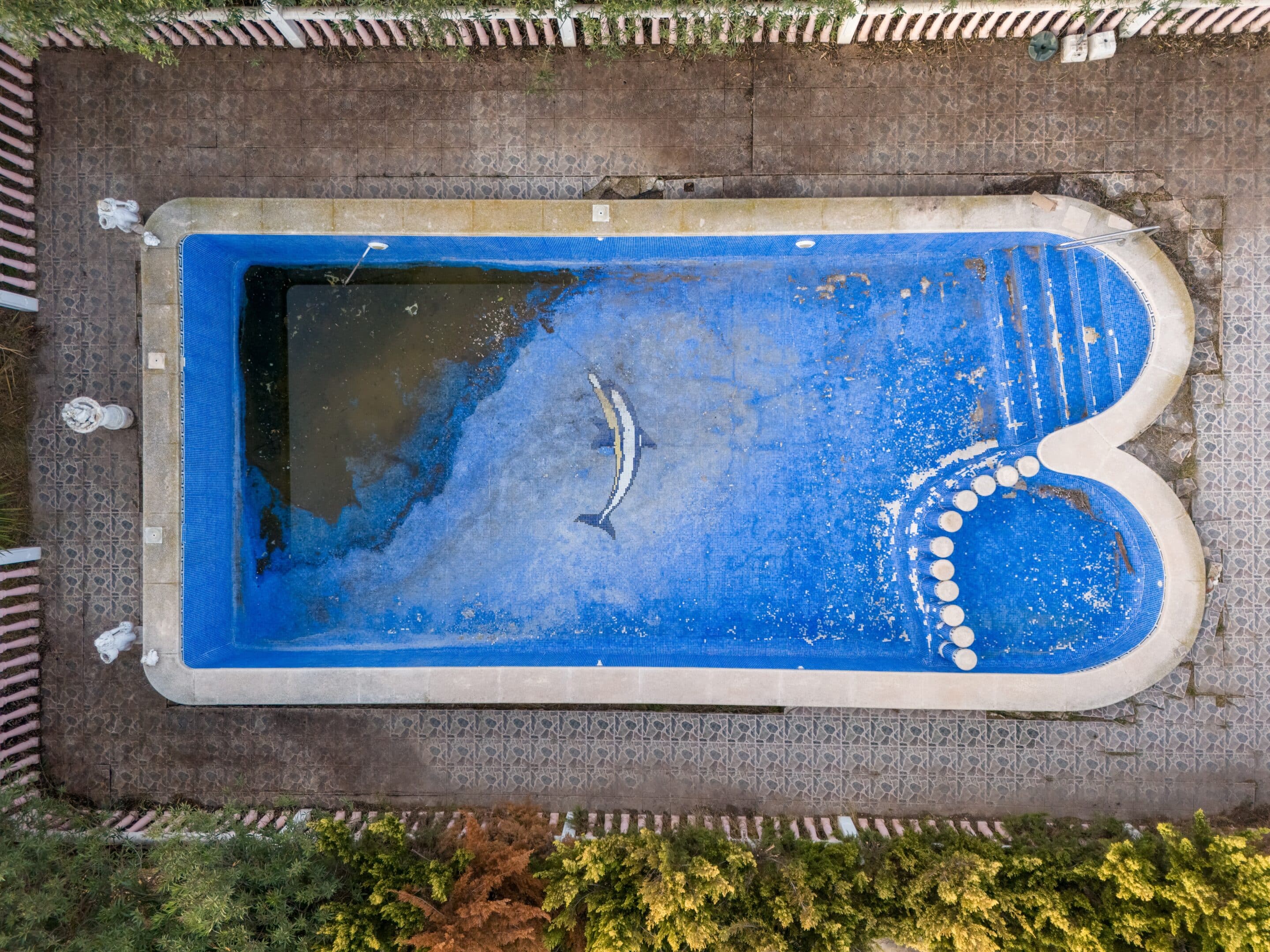Swimming pool with dirty green water close-up.